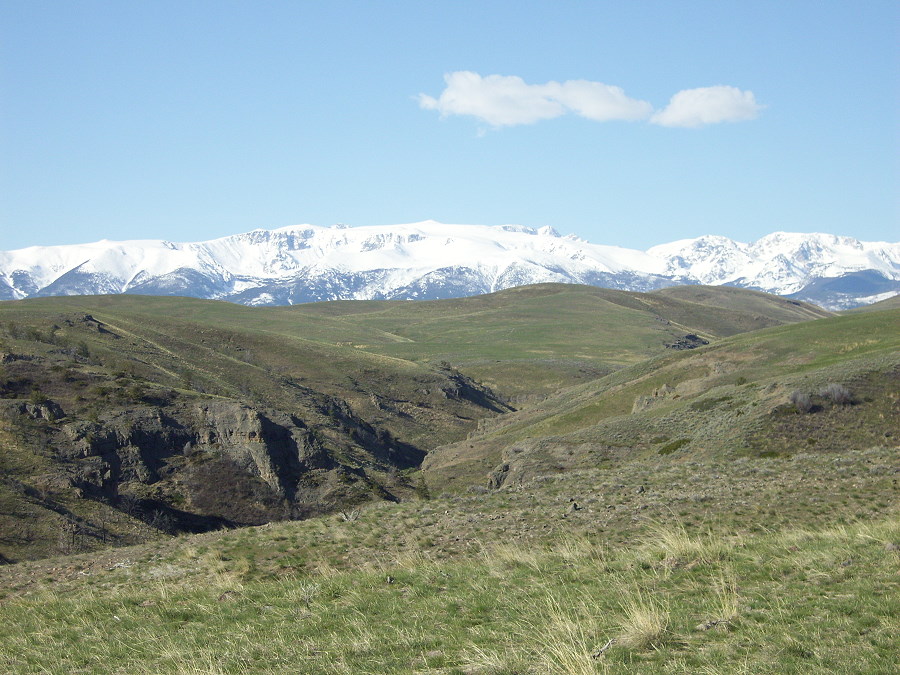 GROVE CREEK RANGE